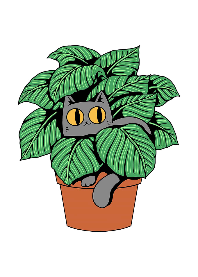 Catlathea