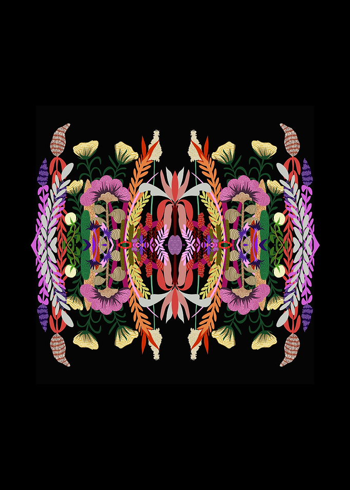 Butterfly Effect Series01