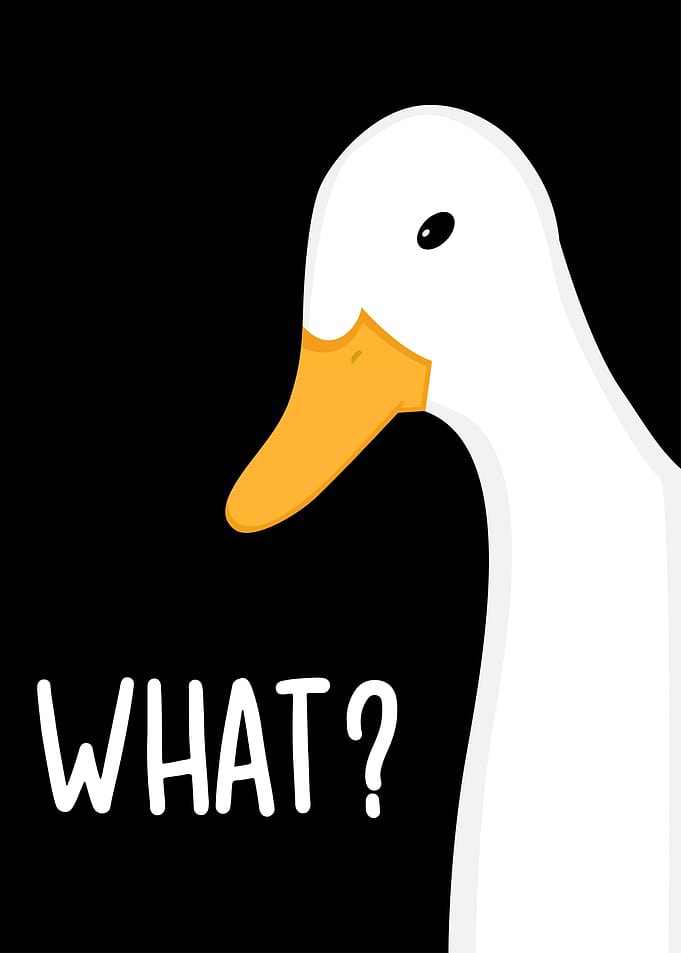 Funny Duck