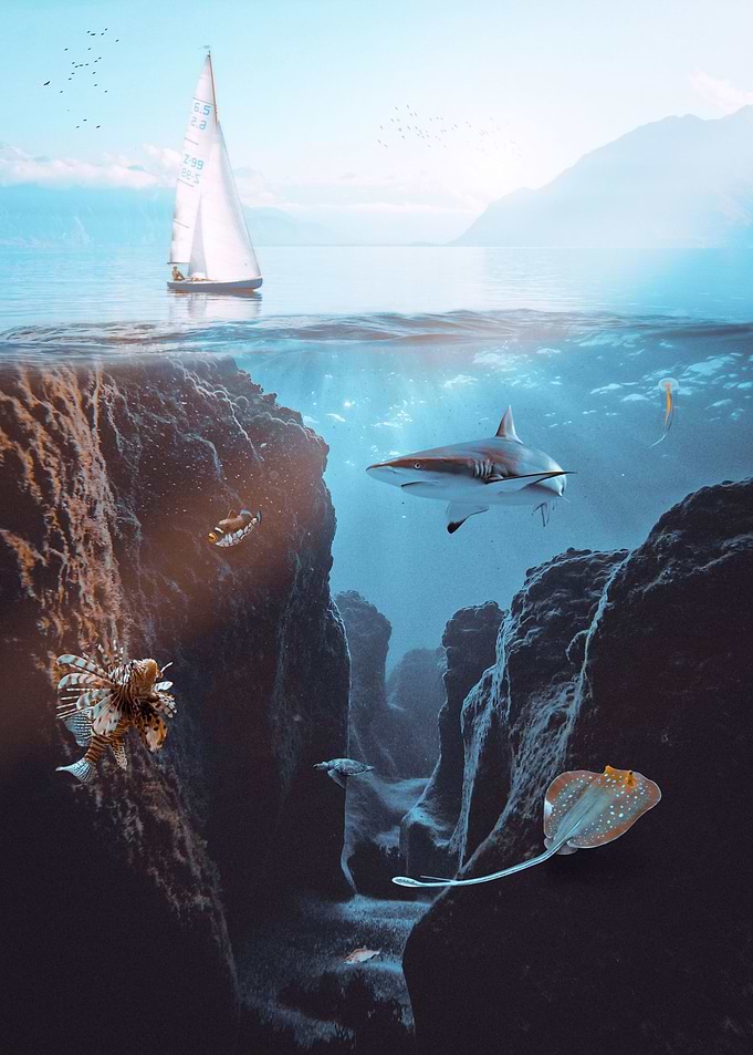 Underwater Life Sailing