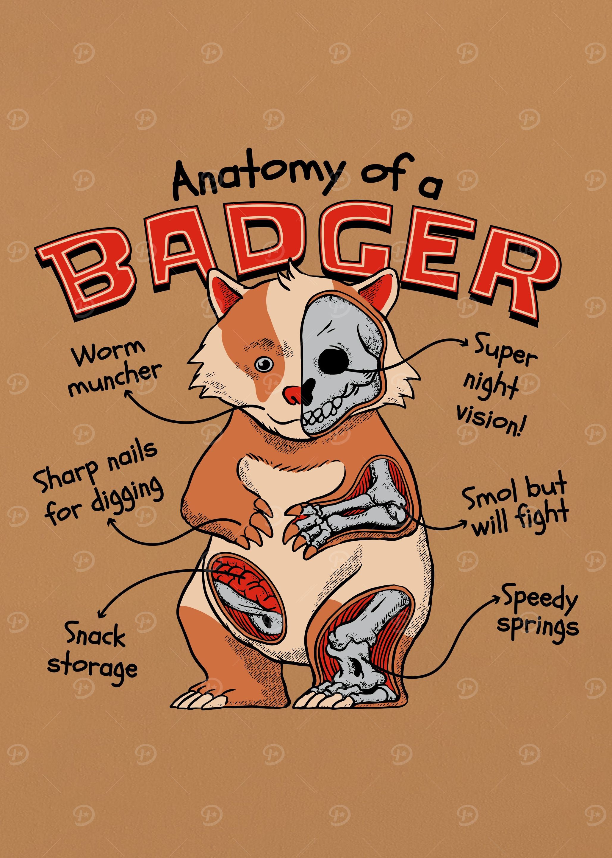 Badger