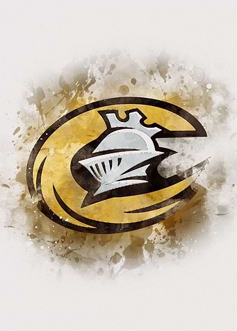 Charlotte Knights