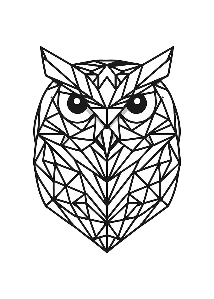 Owl Geometric Design