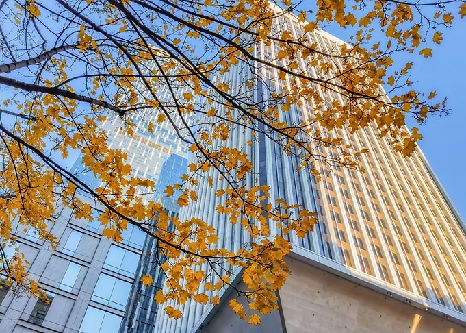 Seattle in Autumn