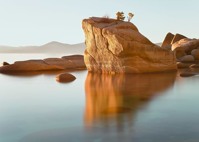 Bonsai Rock
