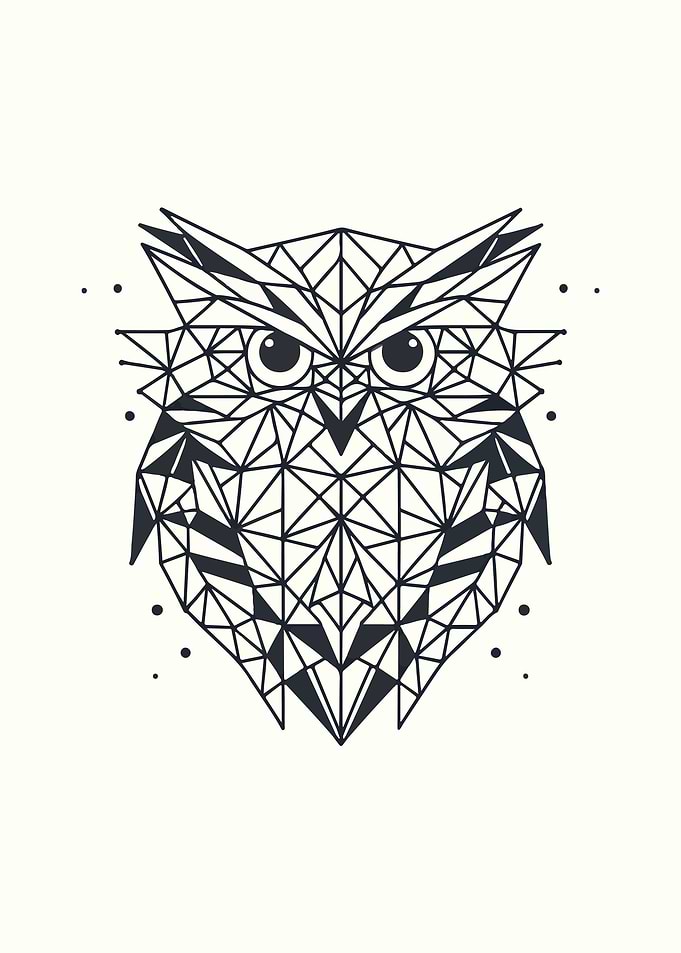 Owl Geometric Design