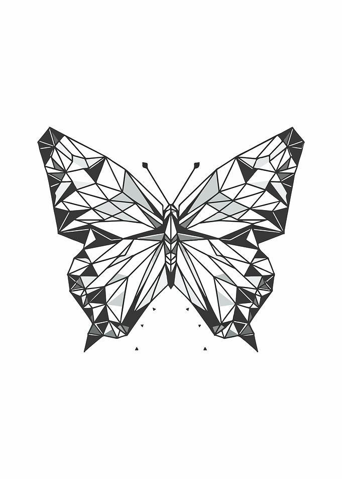 Butterfly Geometric Design