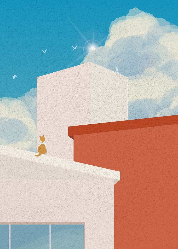 Cat and city building