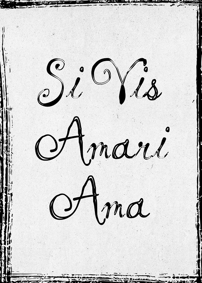 Si Vis Amari Ama Latin