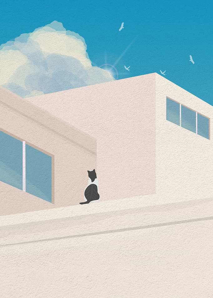 Funny Cat on a roof