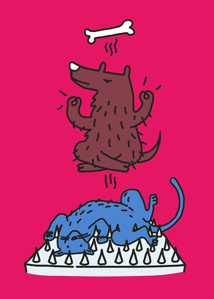 Yoga Animals
