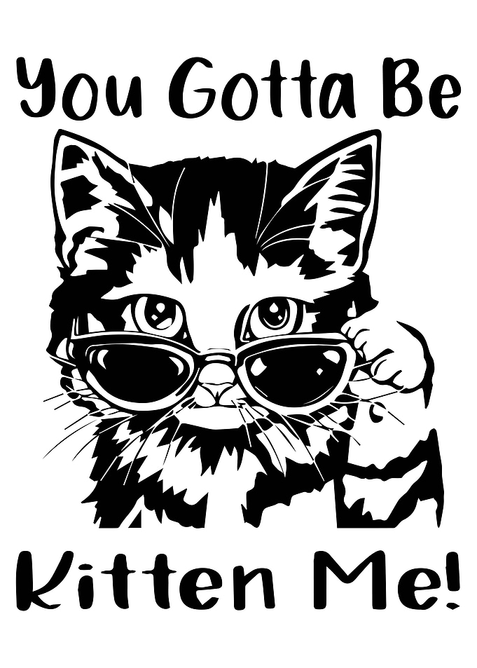 Funny Cat Kitten