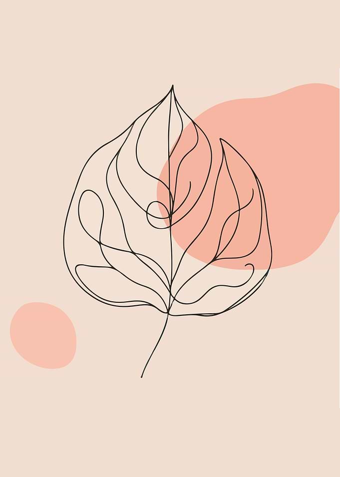 Serenity in Plant