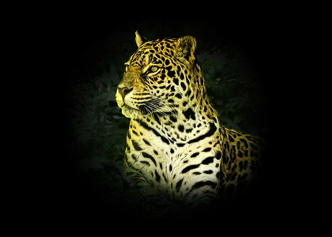 Jaguar portrait