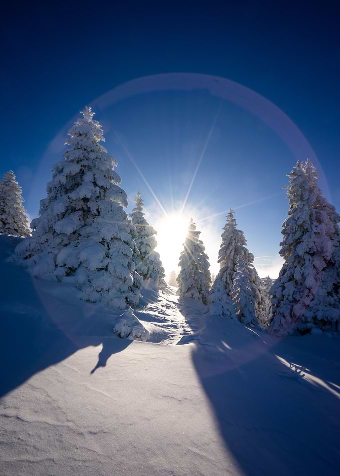 Good morning snow