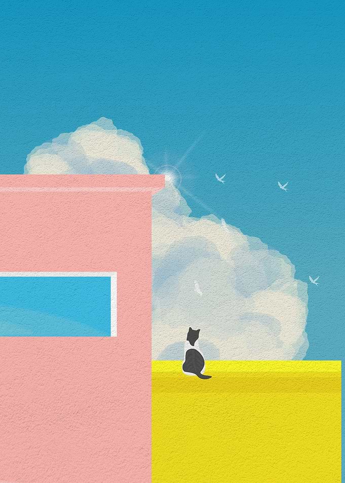 Cat on a colorful building