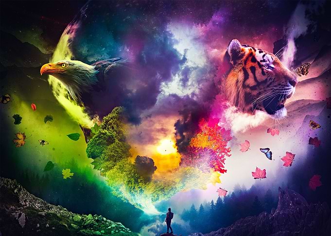 Dreams