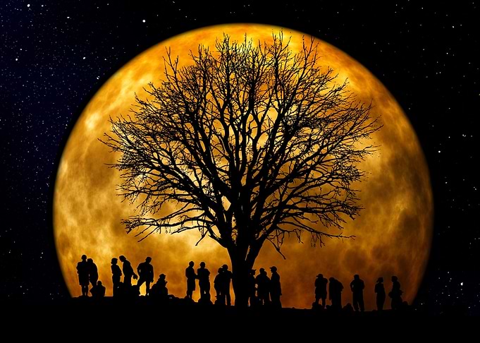Landscapes Moon Light