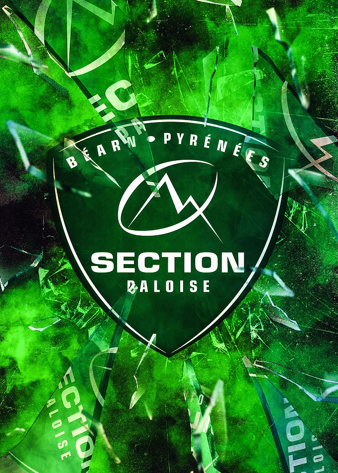 Section Paloise Broken