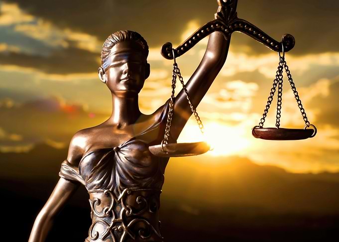 Law Firm Lawyer Temis