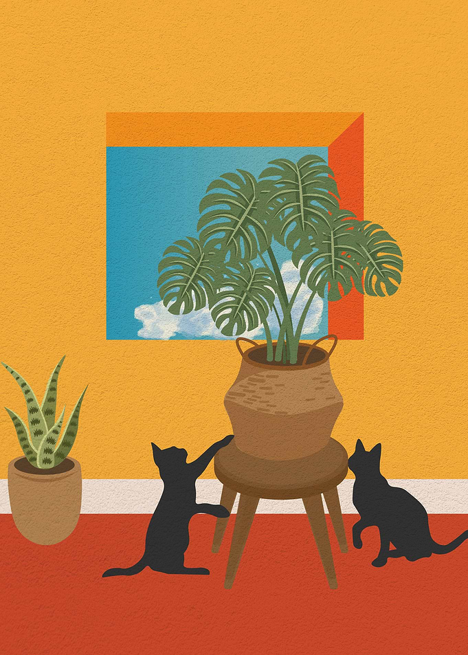 silhouette cat and plant