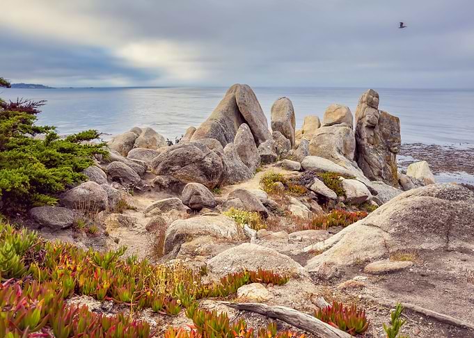 Pebble Beach