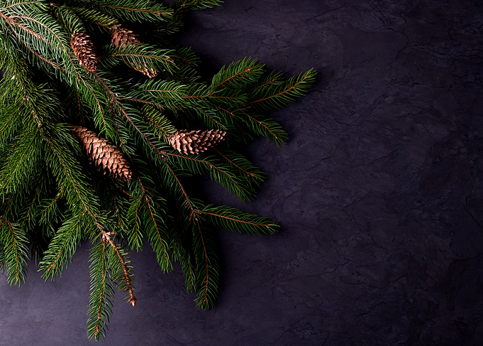 Christmas background