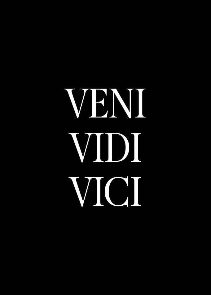 Vini Vidi Vici