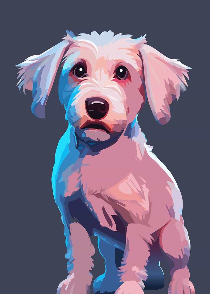 Very Cute Dog
