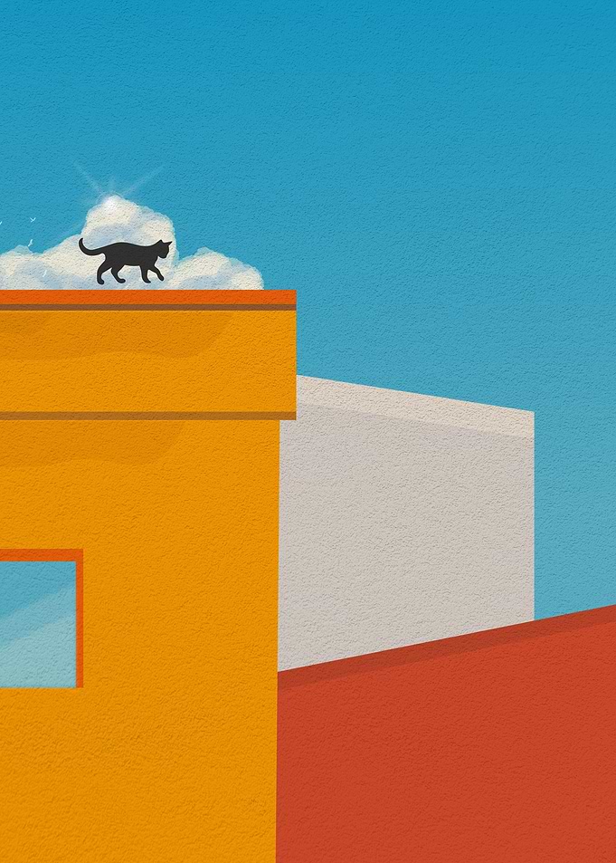 Cat on a building