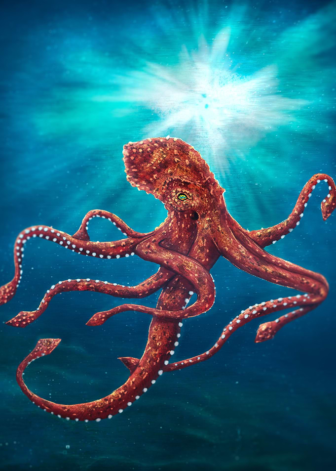 Hank The Octopus