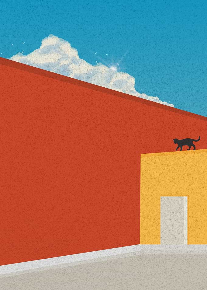 Cat Jump on a Roof