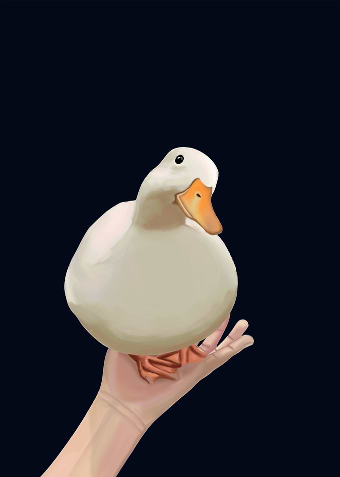 Duck on palm meme