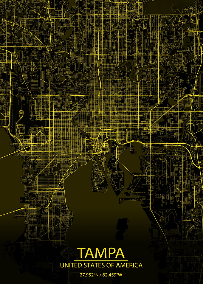 Tampa Florida White Map
