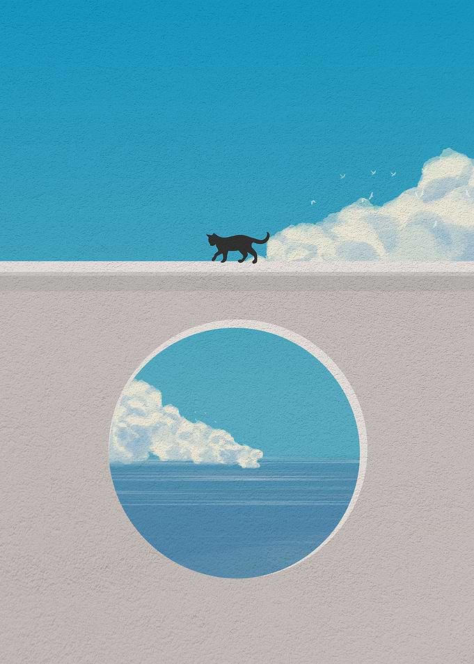 Cat on a simple bridge