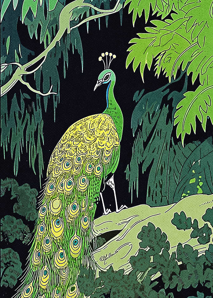 Peacock Wild
