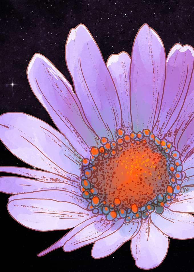 Violet Daisy