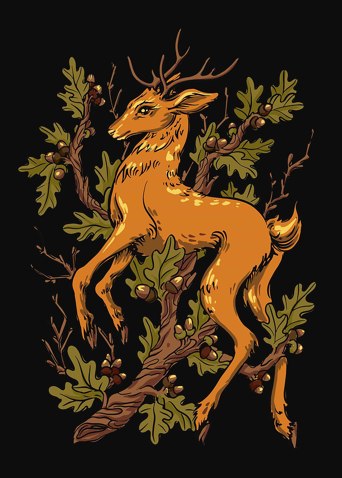 Forest Deer
