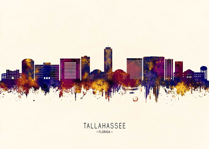 Tallahassee USA Skyline