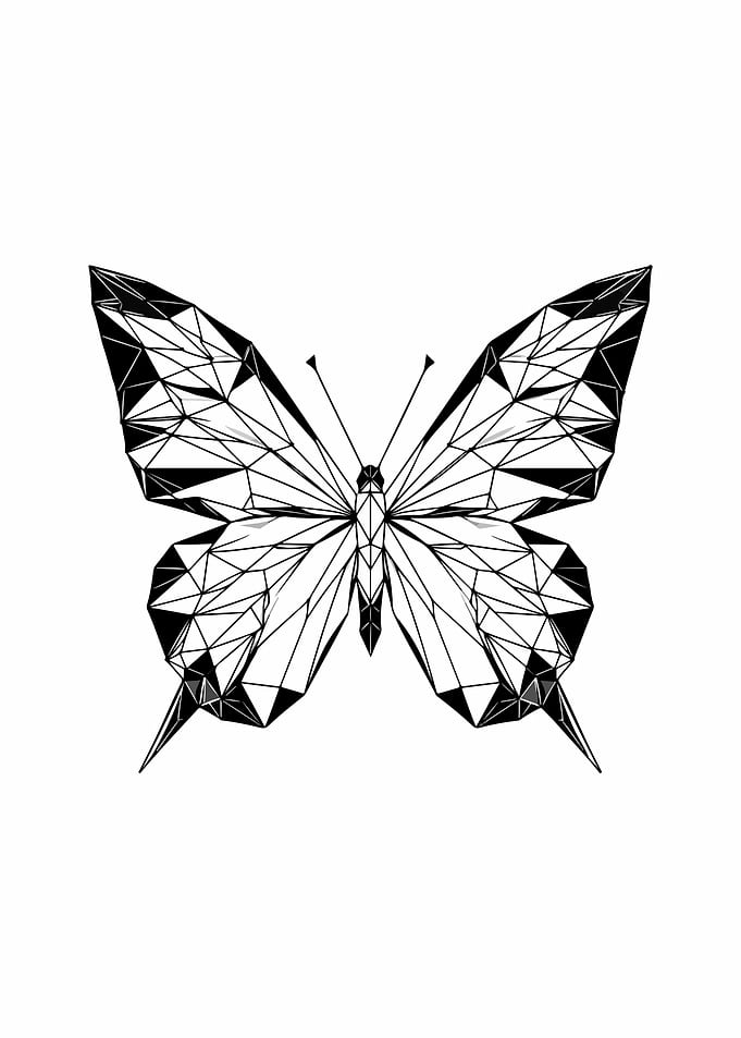 Butterfly Low Poly Style