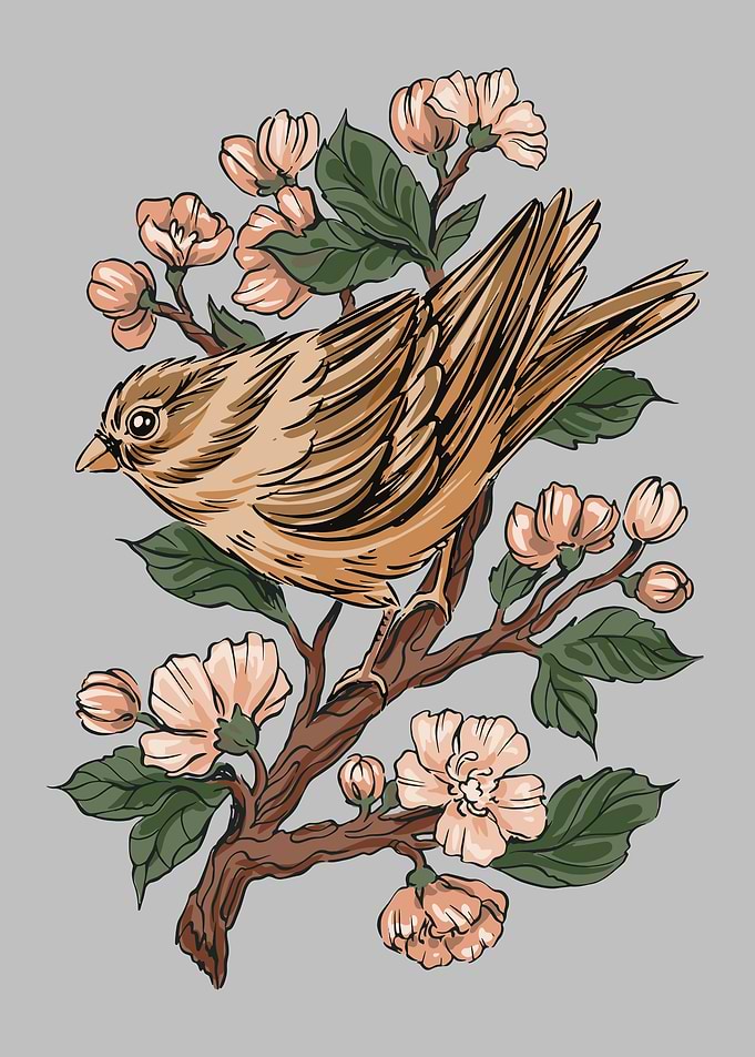 Sparrow