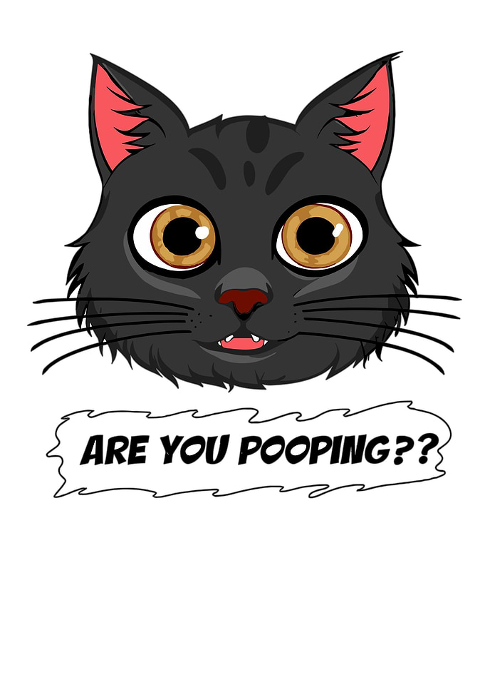 Black Cat Are You Pooping