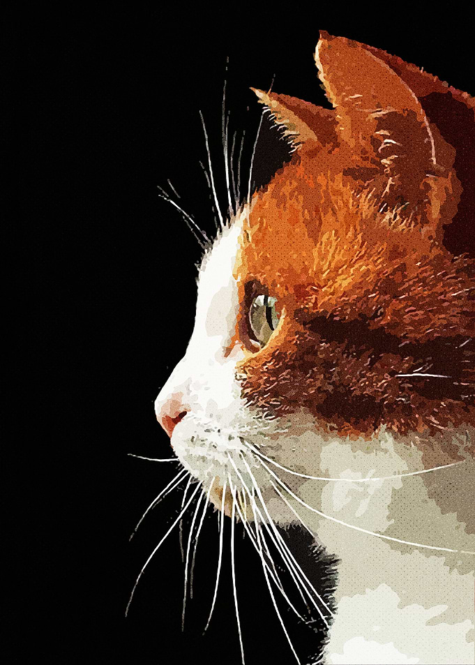 Cute Cat Vintage