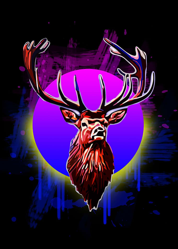 Deer Animals 14