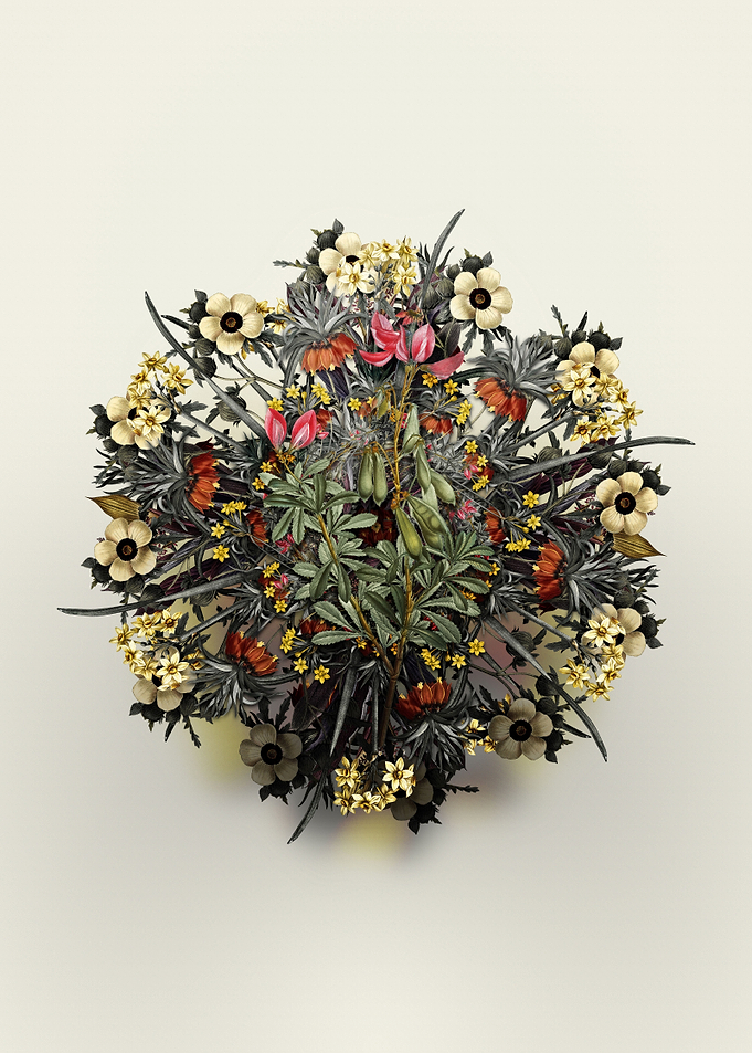 Restharrows Flower Wreath