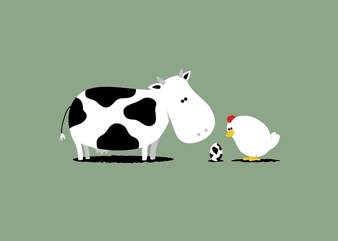 Funny Animals