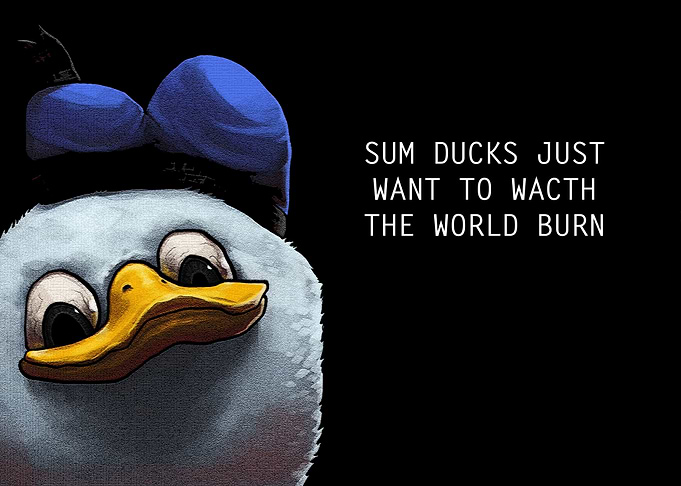 Ducks funny