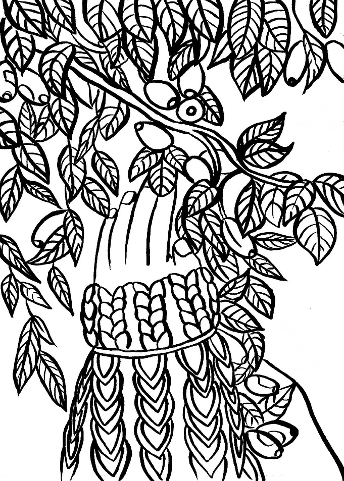 Picking Berries