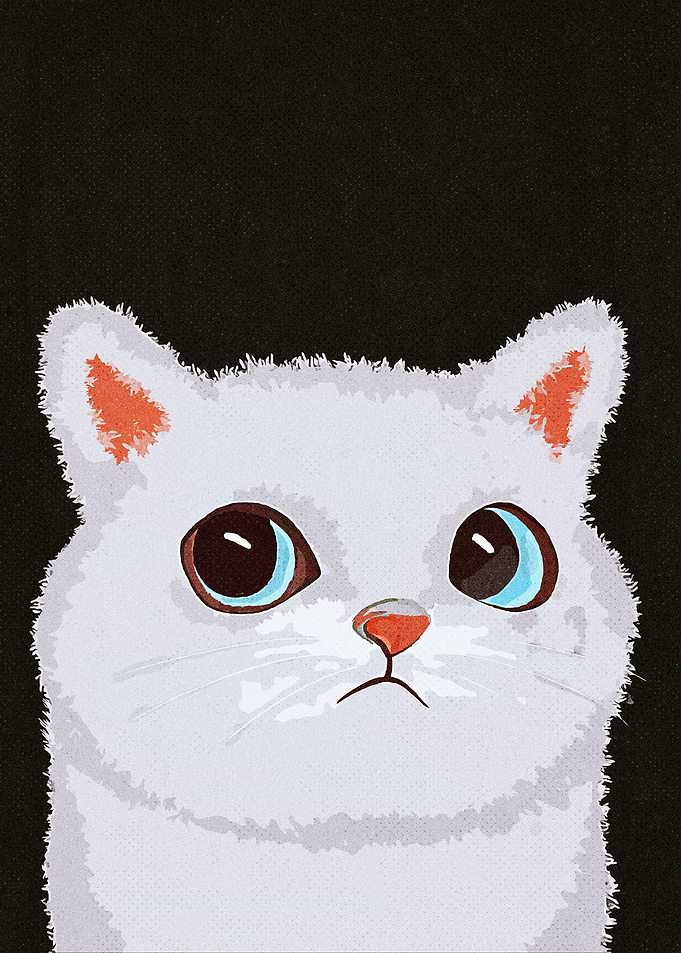 White Cat Meme