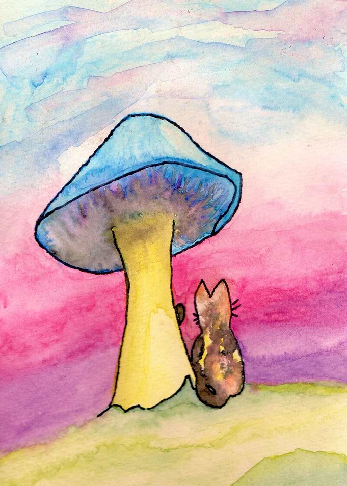 Cat Under Mushroom Skies